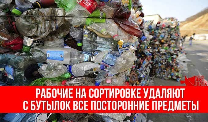 Треть от общего числа бытовых отходов составляют пластиковые бутылки