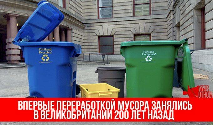 Бытовая сортировка мусора необходима